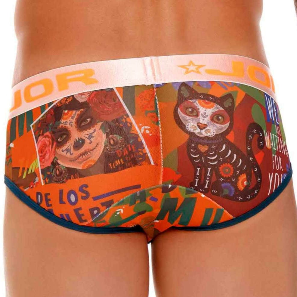 bunter Herren Slip 'DF MESH BRIEF' von JOR Underwear, Rückansicht